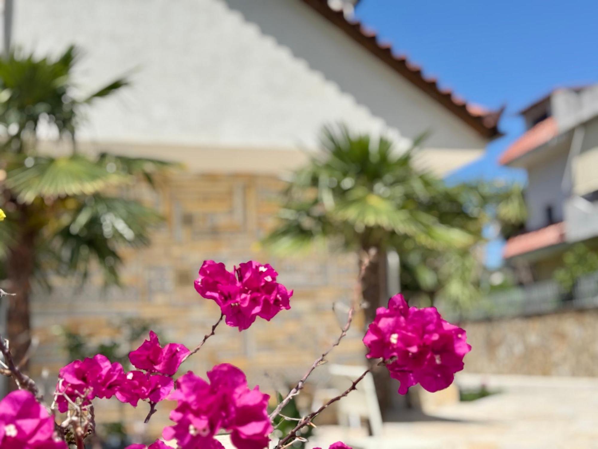 Villa Ida Apartments Vlore Bagian luar foto